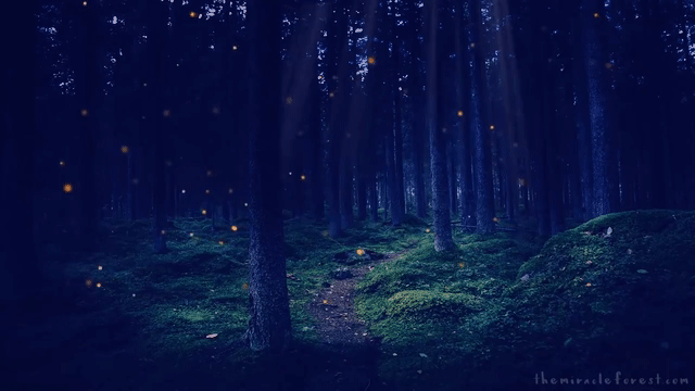 inexperiencedscientificisabellineshrike-size_restricted